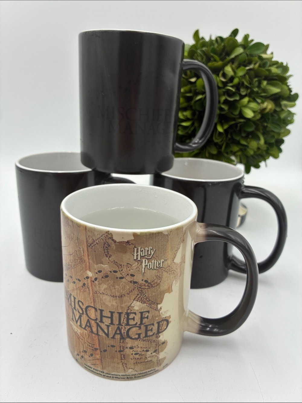 Warner Bros. "Mischief Managed" Heat Reveal Coffee Mug - Brown/Black